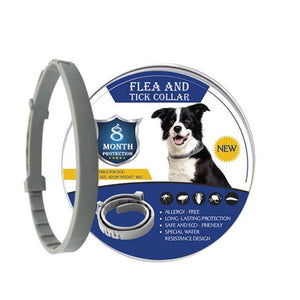 Pet's Flea and Tick Adjustable Collar Dashery Box Dog Collar 
