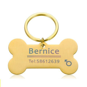 Personalized Collar Pet ID Tag Dashery Box Gold 50 x 28mm 